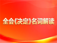 全会《决定》名词解释